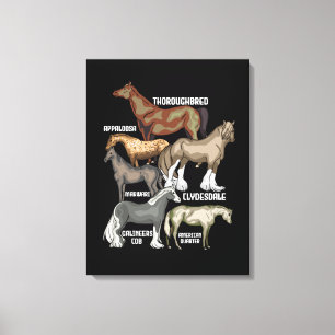 Toile Cheval Naît Cheval Équitation Cadeau Femmes Chevau