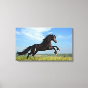 Toile Cheval noir