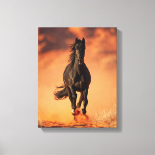 Toile Cheval noir chargeant sur un coucher de soleil enf