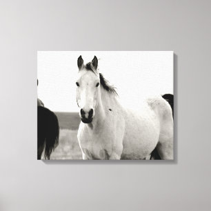 Toile Cheval noir et blanc dans les collines de silex