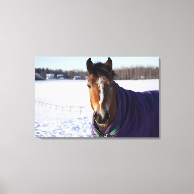 Toile Cheval pâturant sur un champ enneigé sur Ekero 2 (Recto)