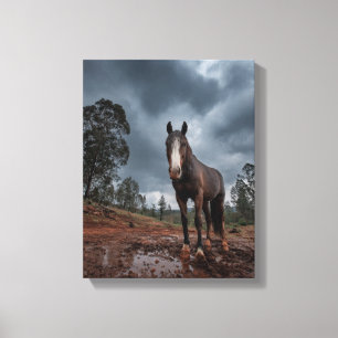 Toile Cheval Puissant Sous un Ciel Orageux Art