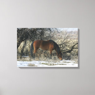 Toile Cheval sauvage de mustang dans la neige 1