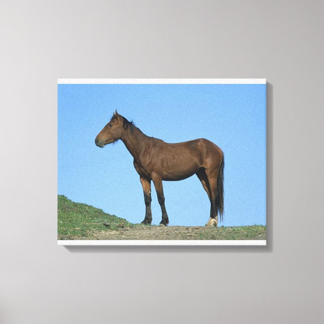 Toile Cheval sauvage Mustang (Recto)