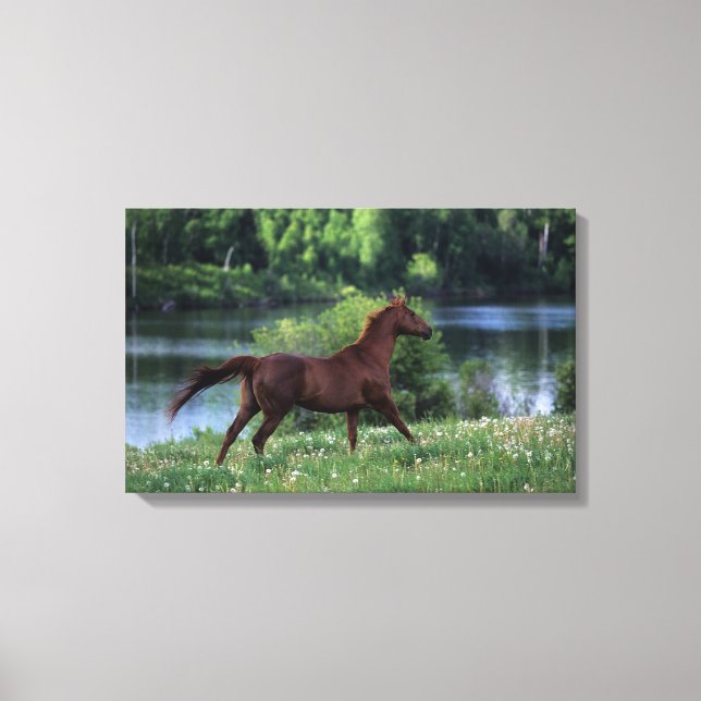 Toile Cheval Thoroughbred debout en fleurs (Recto)