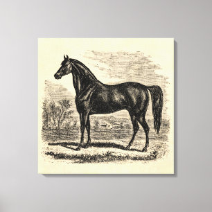 Toile Cheval vintage de 1800s - modèle de cavalier de