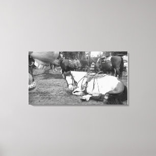 Toile Cheval Wall Art noir et blanc Photobomber
