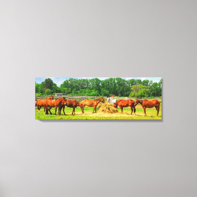 Toile Chevaux [36x12] pouces (Recto)