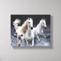 Chevaux à lancer l'oreiller