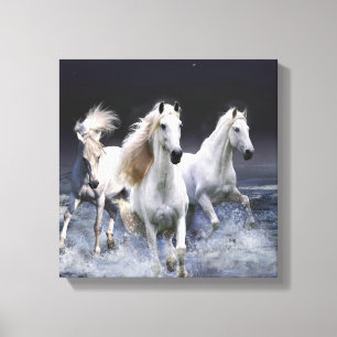 Toile Chevaux à lancer l'oreiller