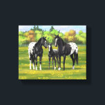 Toile Chevaux Appaloosa Noir Dans Les Pâturages D'Été<br><div class="desc">Une famille d'appaloosas noires dans les pâturages d'été.</div>
