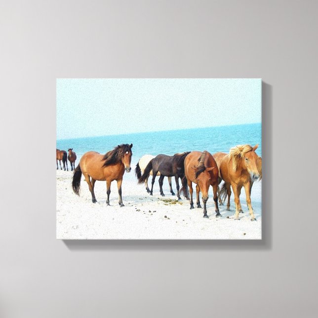 Toile Chevaux Assateague National Sea Shore Maryland (Recto)