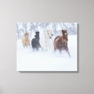 Toile Chevaux courant à travers la neige