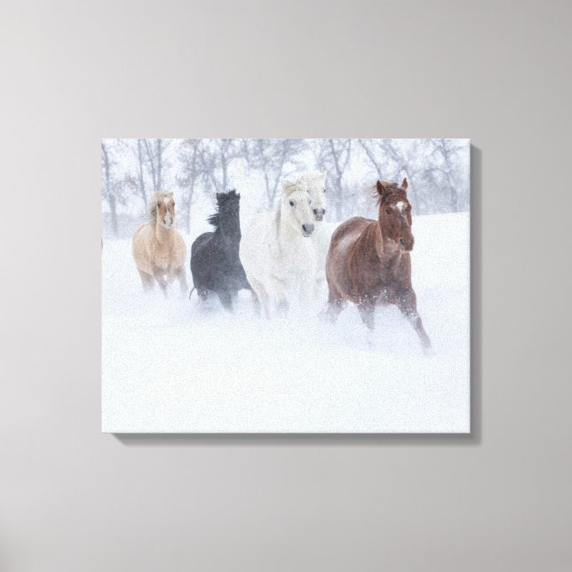 Toile Chevaux courant à travers la neige (Recto)