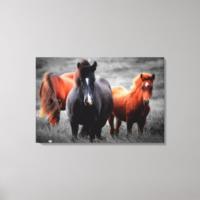 Toile Chevaux Dans Le Champ Partiel Photographie Couleur (Recto)
