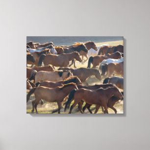 Toile Chevaux dans le ranch, Mongolie intérieure, Chine