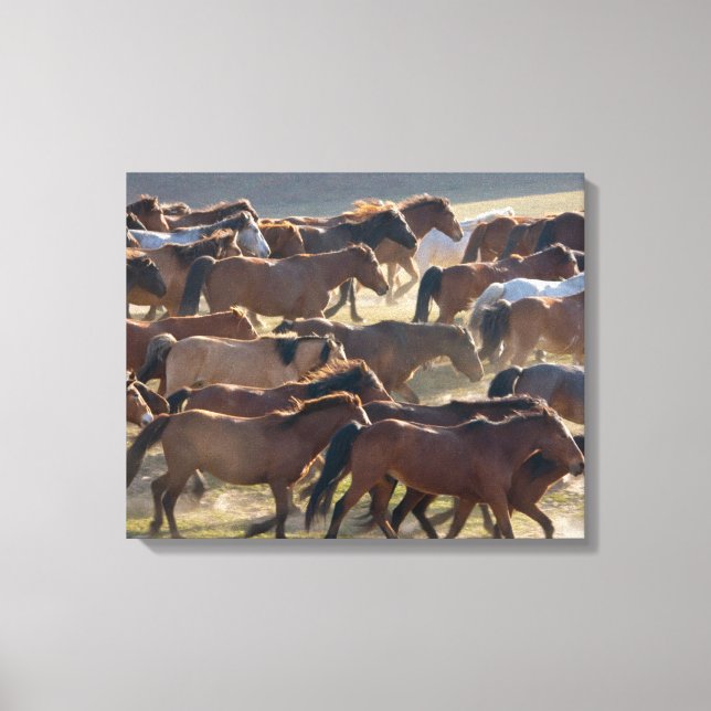 Toile Chevaux dans le ranch, Mongolie intérieure, Chine (Recto)