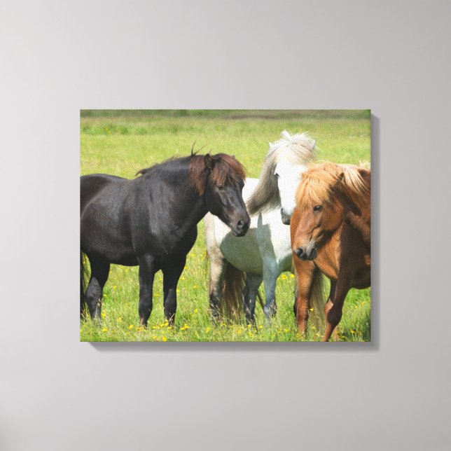 Toile Chevaux dans le ranch, sud de l'Islande (Recto)