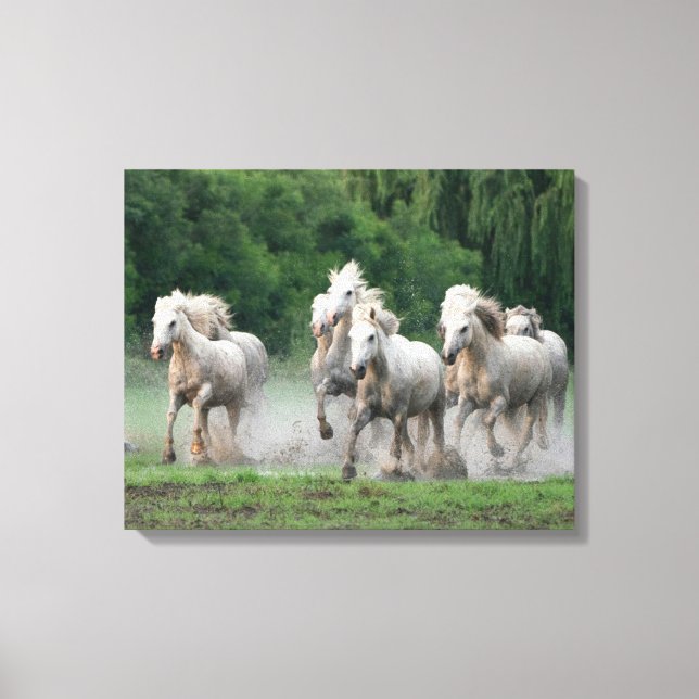 Toile Chevaux de Camargue courant dans l'eau (Recto)