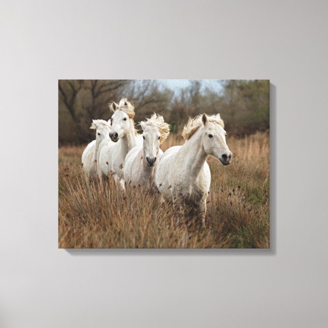 Toile Chevaux de Camargue en course (Recto)