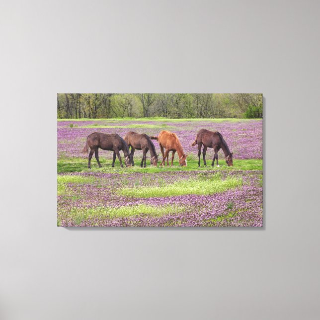 Toile Chevaux de Thoroughbred dans le champ de fleurs d' (Recto)