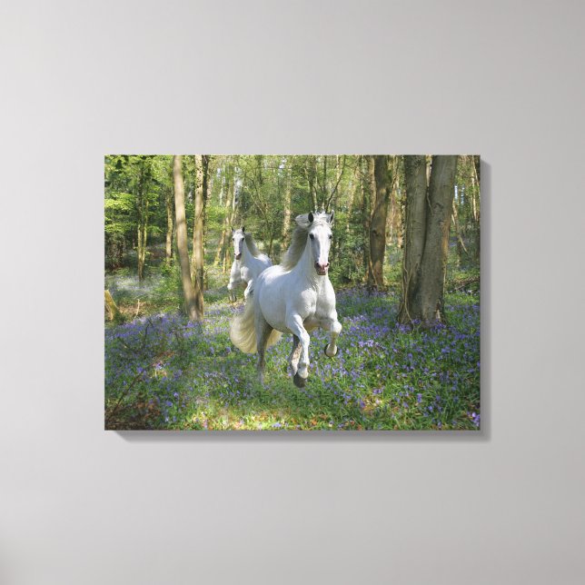 Toile Chevaux d'Imaginaire : Bois de Bluebell (Recto)