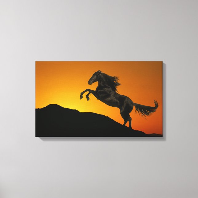 Toile Chevaux d'Imaginaire : Coucher de soleil de montag (Recto)