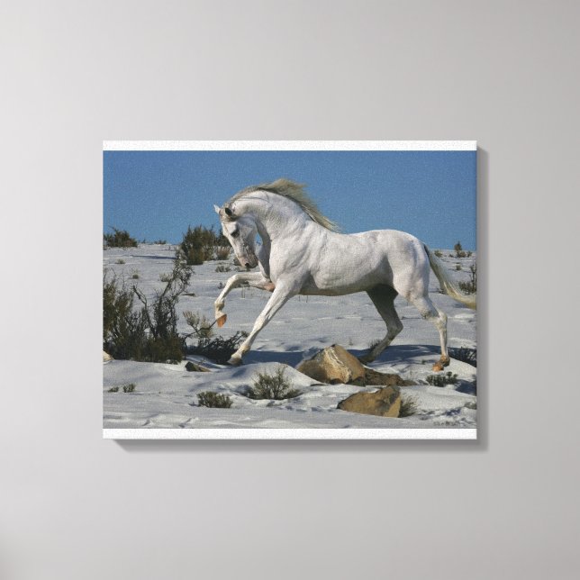 Toile Chevaux d'Imaginaire : Roi de neige (Recto)