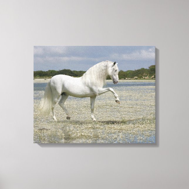Toile Chevaux d'Imaginaire : Seigneur du lac (Recto)