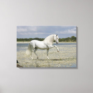 Toile Chevaux d'Imaginaire : Seigneur du lac