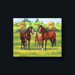 Toile Chevaux Du Quartier De La Baie Brown Dans Les Pâtu<br><div class="desc">Une famille de chevaux du quart de baie dans les pâturages d'été.</div>