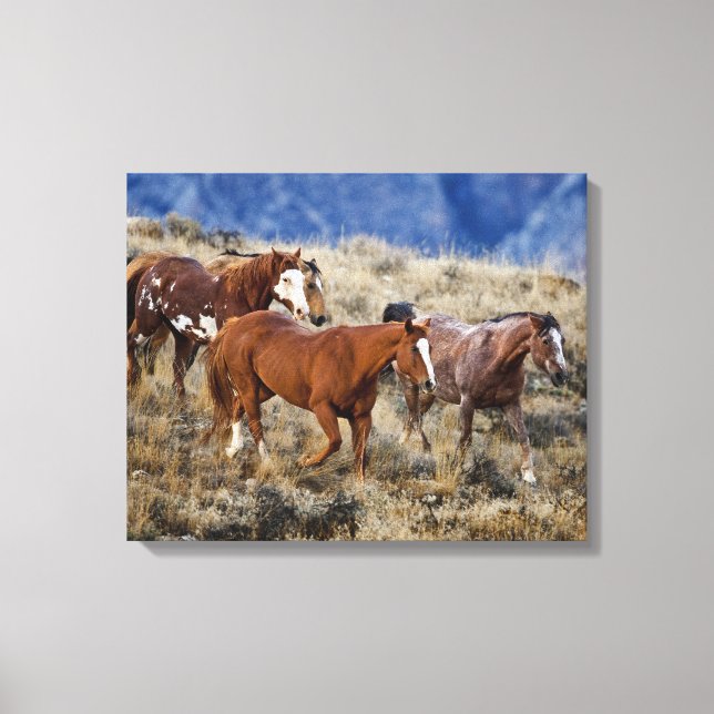 Toile Chevaux errant dans les collines (Recto)