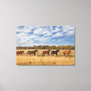 Toile Chevaux juste à l'extérieur du parc national de Gr