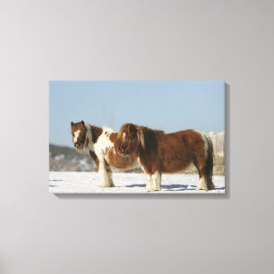 Toile Chevaux miniatures debout dans la neige