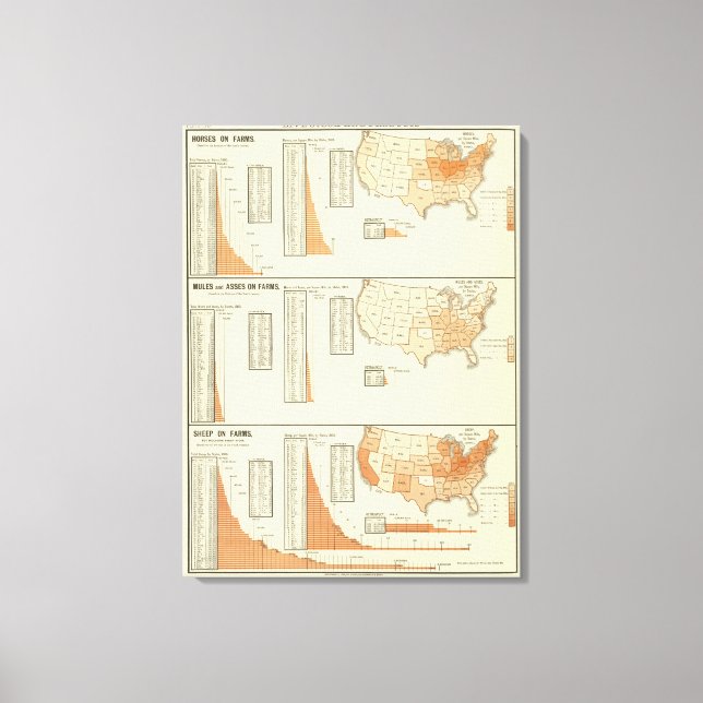 Toile Chevaux, mules, ânes, moutons (Recto)