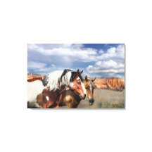 Chevaux Mustang dans la nature, Stallion et son Ma