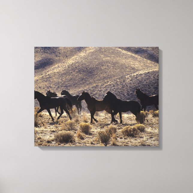Toile Chevaux Mustang sauvages dans le désert 1 (Recto)