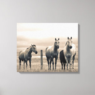 Toile Chevaux Quarter Horse dans la Prairie Canadienne