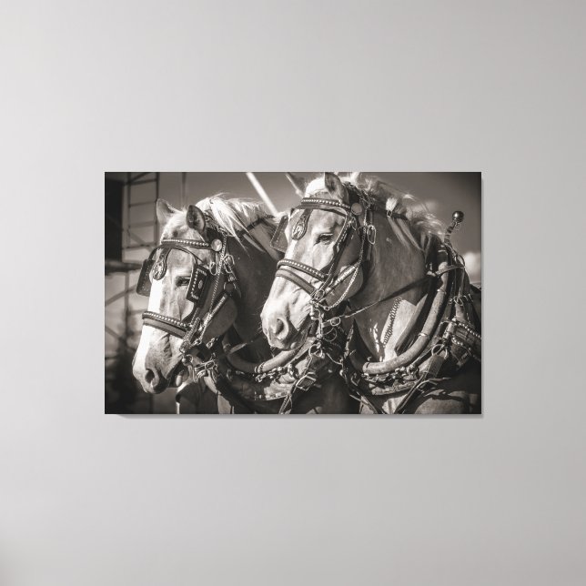 Toile Chevaux roux de Belgique (Recto)