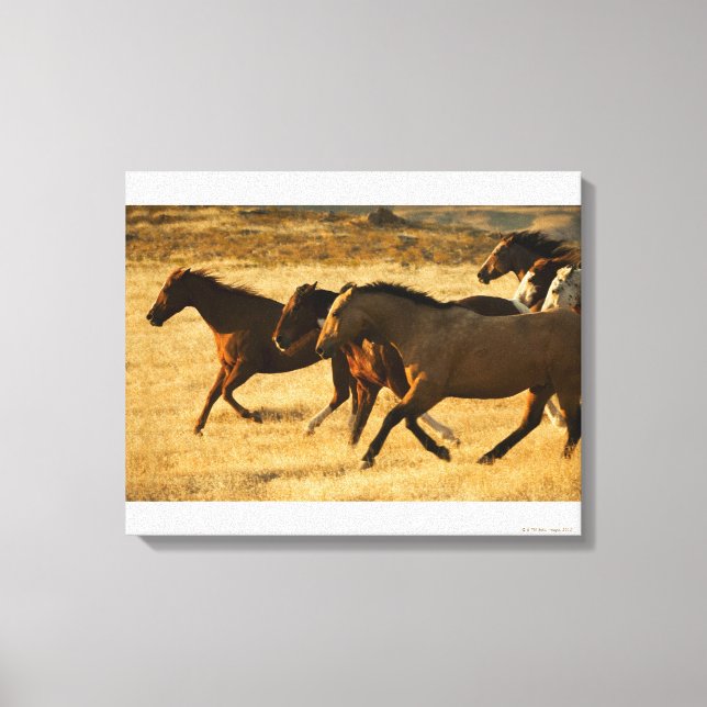 Toile Chevaux sauvages (Recto)