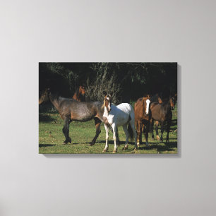 Toile Chevaux sauvages 1 de mustang