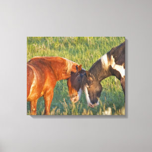 Toile Chevaux sauvages au parc national Theodore Rooseve