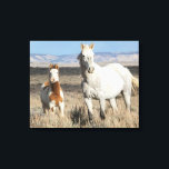 Toile Chevaux sauvages chez eux dans le bassin de Sandwa<br><div class="desc">Chevaux sauvages,  jument et poulain chez eux dans le bassin de Sandwash</div>