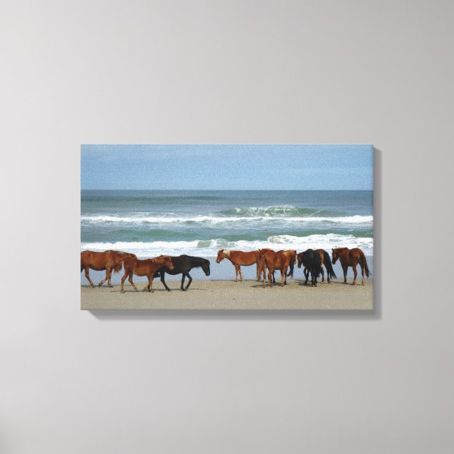 Toile Chevaux sauvages Outer Banks NC Canvas (Recto)