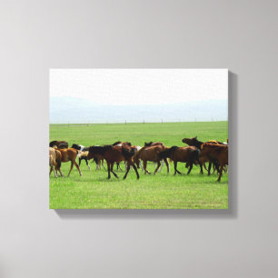 Toile Chevaux sur le pâturage - Photographie du paysage