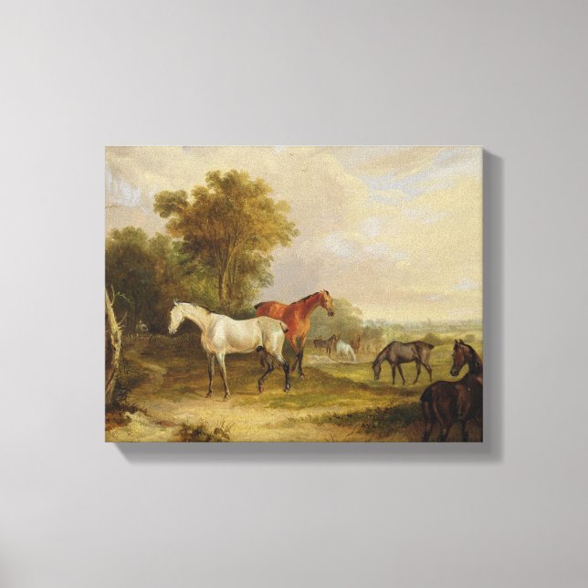 Toile Chevaux : Un Stallion gris pâturant avec des Mares (Recto)