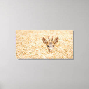 Toile Chevreuil mâle dans la faune de blé doré
