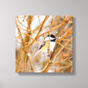 Toile Chickadee au plafond noir - Photo originale