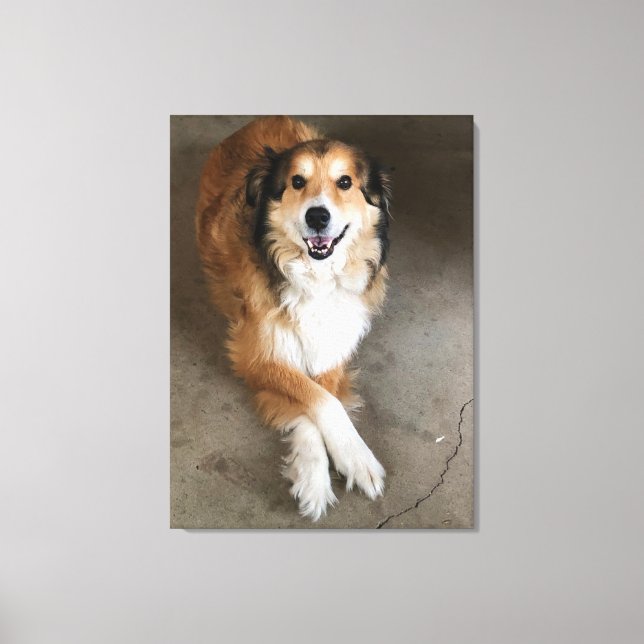 Toile Chien (Recto)