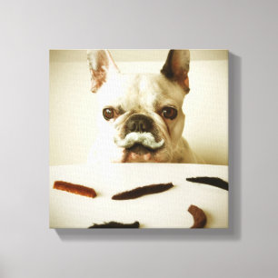 Toile Chien À Balle Français Avec Moustache